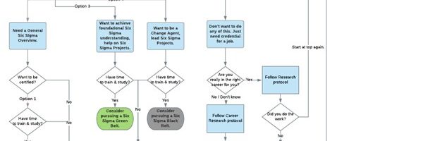 Six Sigma Belt Choice Flow