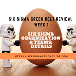 Week 1: Six Sigma Organization and Teams Detail