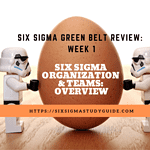 Week 1: Six Sigma Organization and Teams Overview