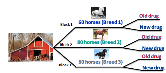 Other Designed Experiment Types