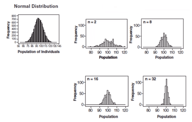 hypothesis testing study guide