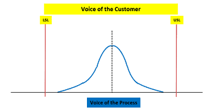 Process Capability & Performance (Pp, Ppk, Cp, Cpk)